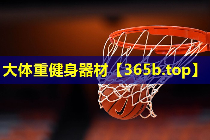 大体重健身器材 大体重健身器材